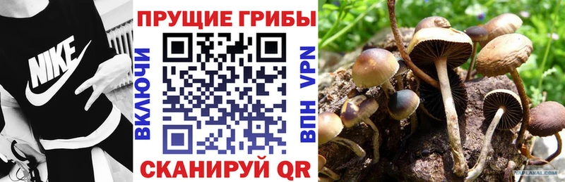 Галлюциногенные грибы Magic Shrooms  Братск 